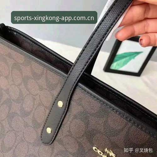 从误装山寨包到44.9MB正版：为什么你的星空体育全站APP下载总在"绕远路"？